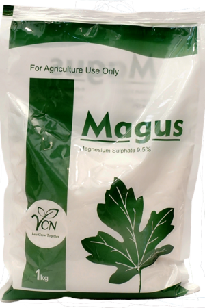 Magus (Magnesium Sulphate, Mg 9.6%)